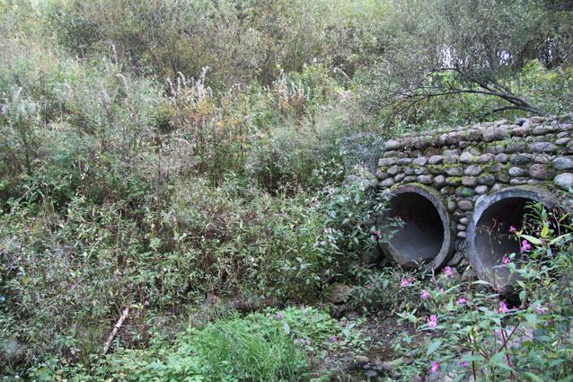 19 ��������.JPG